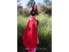 Ladybird dressup costume